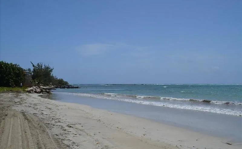 הוילה Ocho Rios Under The Palms וילה