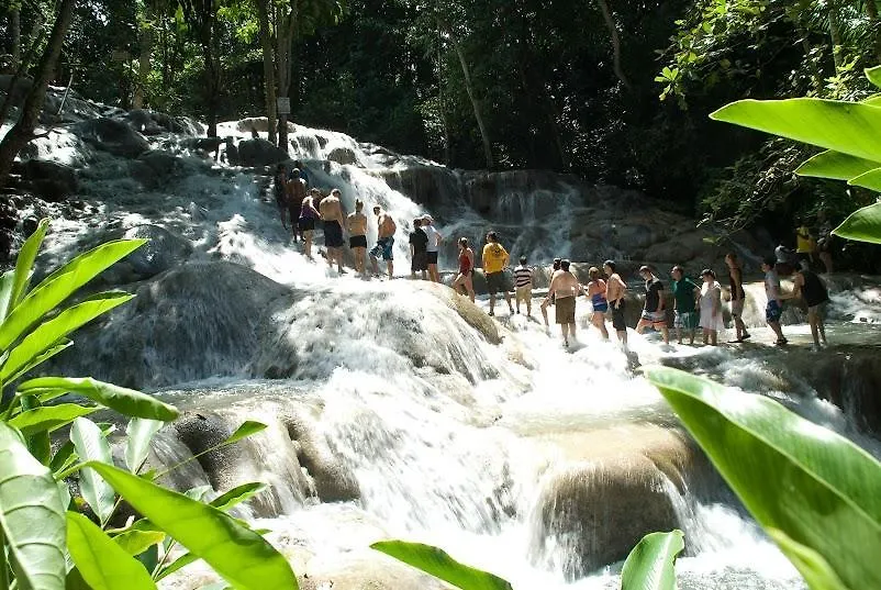 וילה הוילה Ocho Rios Under The Palms