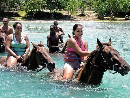 הוילה Ocho Rios Under The Palms וילה