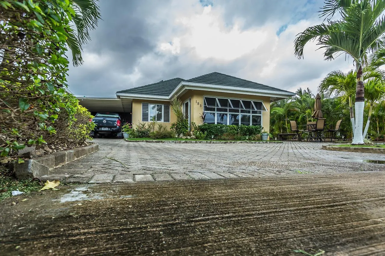 הוילה Ocho Rios Under The Palms וילה