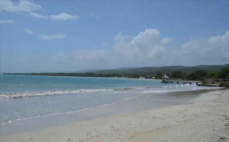 הוילה Ocho Rios Under The Palms 0*,  ג'מייקה